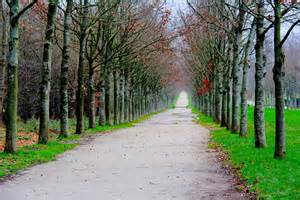 Path at Gardens of Versailles